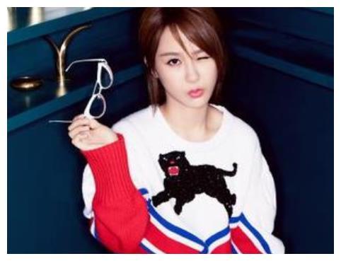 杨紫家世爆料视频播放大全,独家视频播放大全深度解析