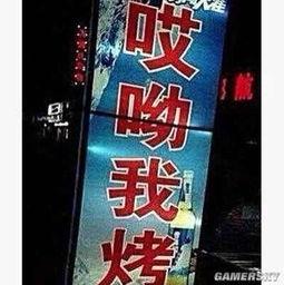 烧烤搞笑爆料视频下载,搞笑爆料视频引网友热议