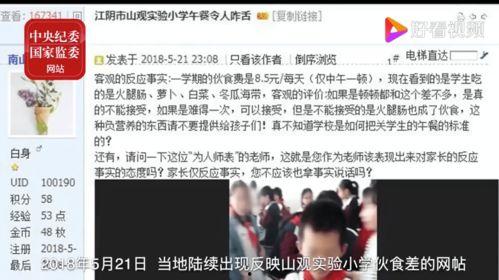 桃城学校爆料案件视频,揭秘校园疑云事件